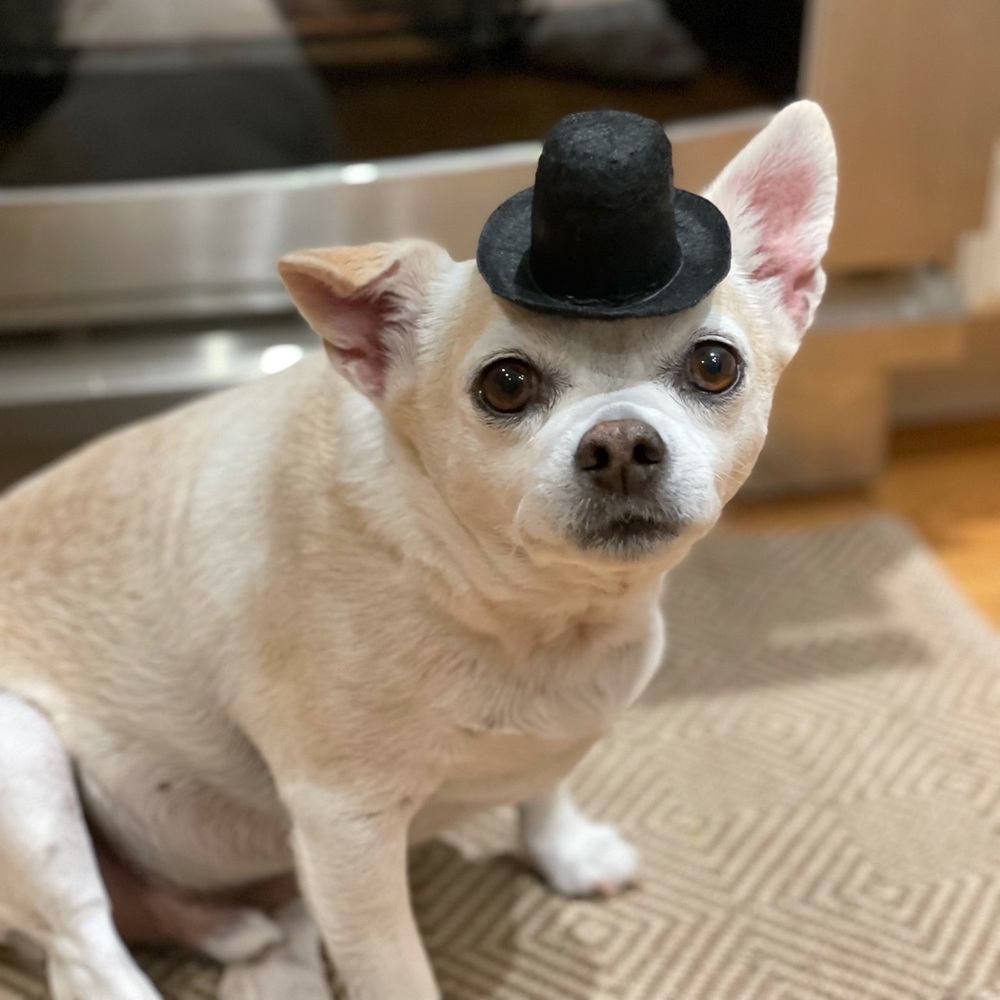 Meet your Posher, Carla